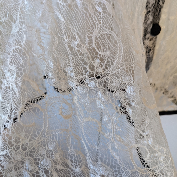 Sheer Ivory Lace Blouse - Picture 5 of 5